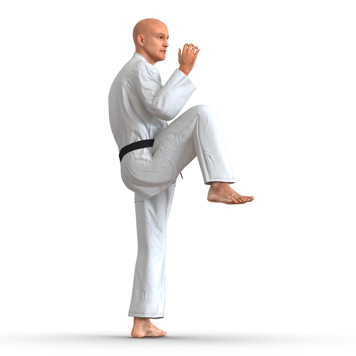 karate fighter pose 3 3d model