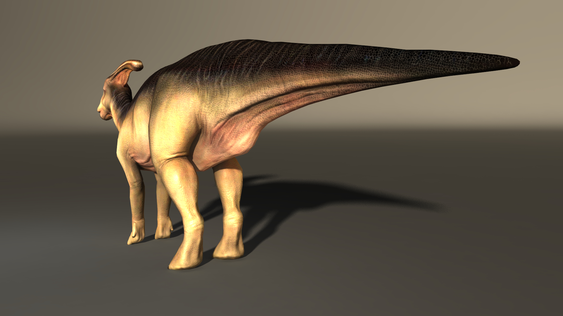 3d Model Of Parasaurolophus