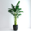 3d model realistic areca palm