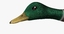 3d model anas platyrhynchos mallard duck