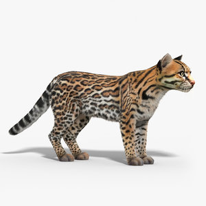 3d model ocelot cat fur