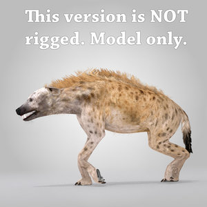 spotted hyena 3d max
