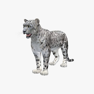 snow leopard 3d model