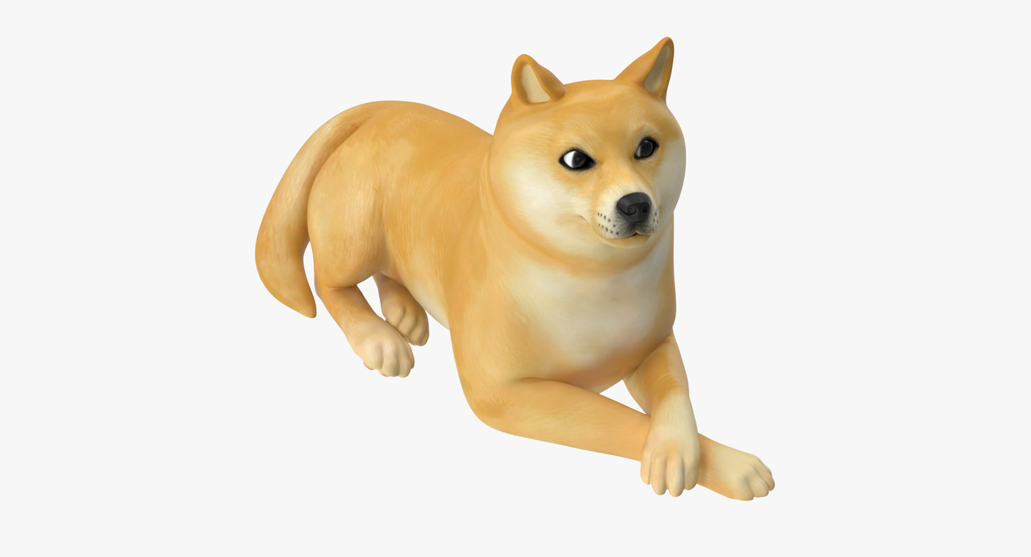 doge 3d dog max turbosquid