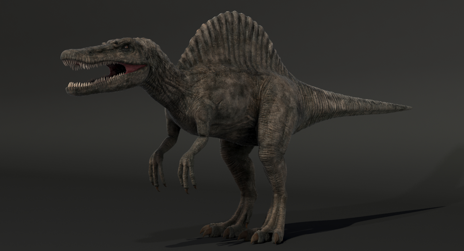 the real spinosaurus