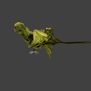 green budgerigar flapping wing animation 3d model