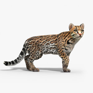 ocelot cat fur rigged 3d max