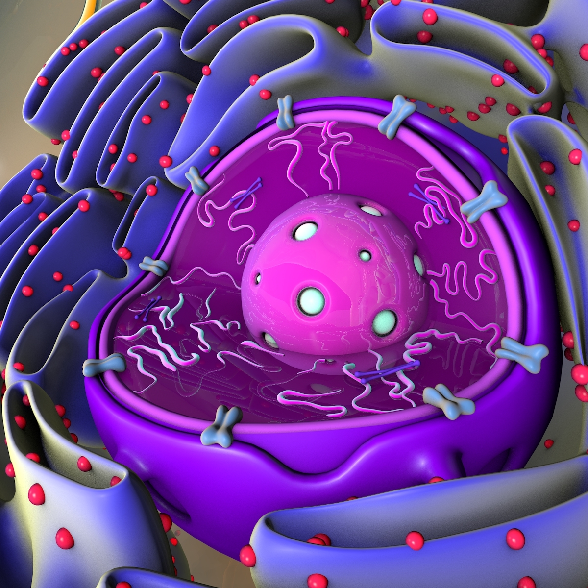 3d model plant cell