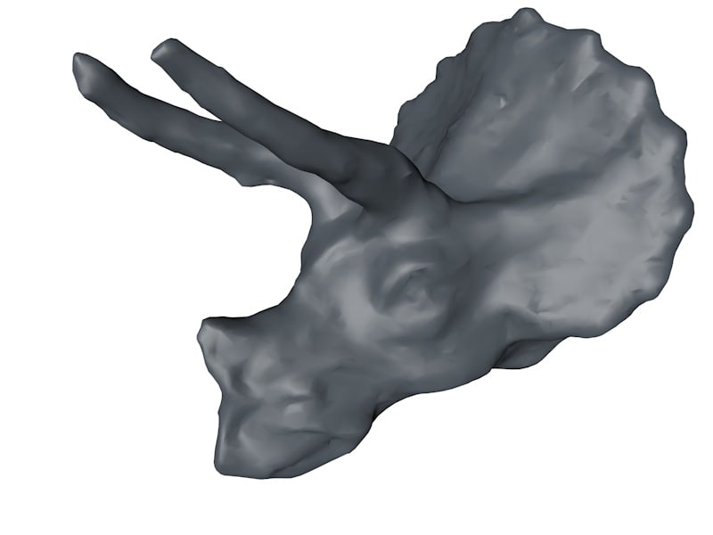 triceratops head plate