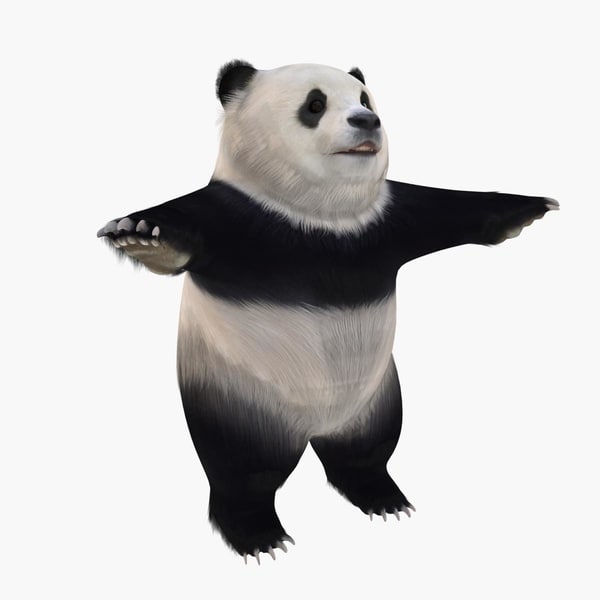 3d panda standing model