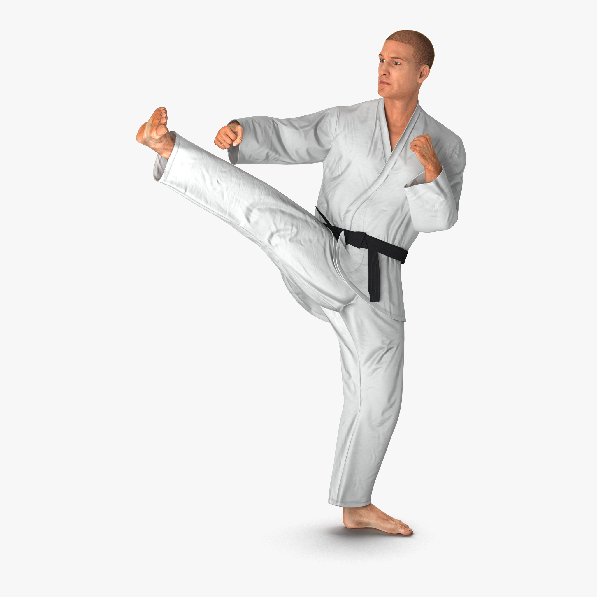 3d karate fighter pose 2