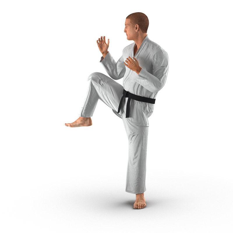 3d model karate fighter pose 3