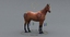 realistic horse rigged max