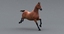 realistic horse rigged max