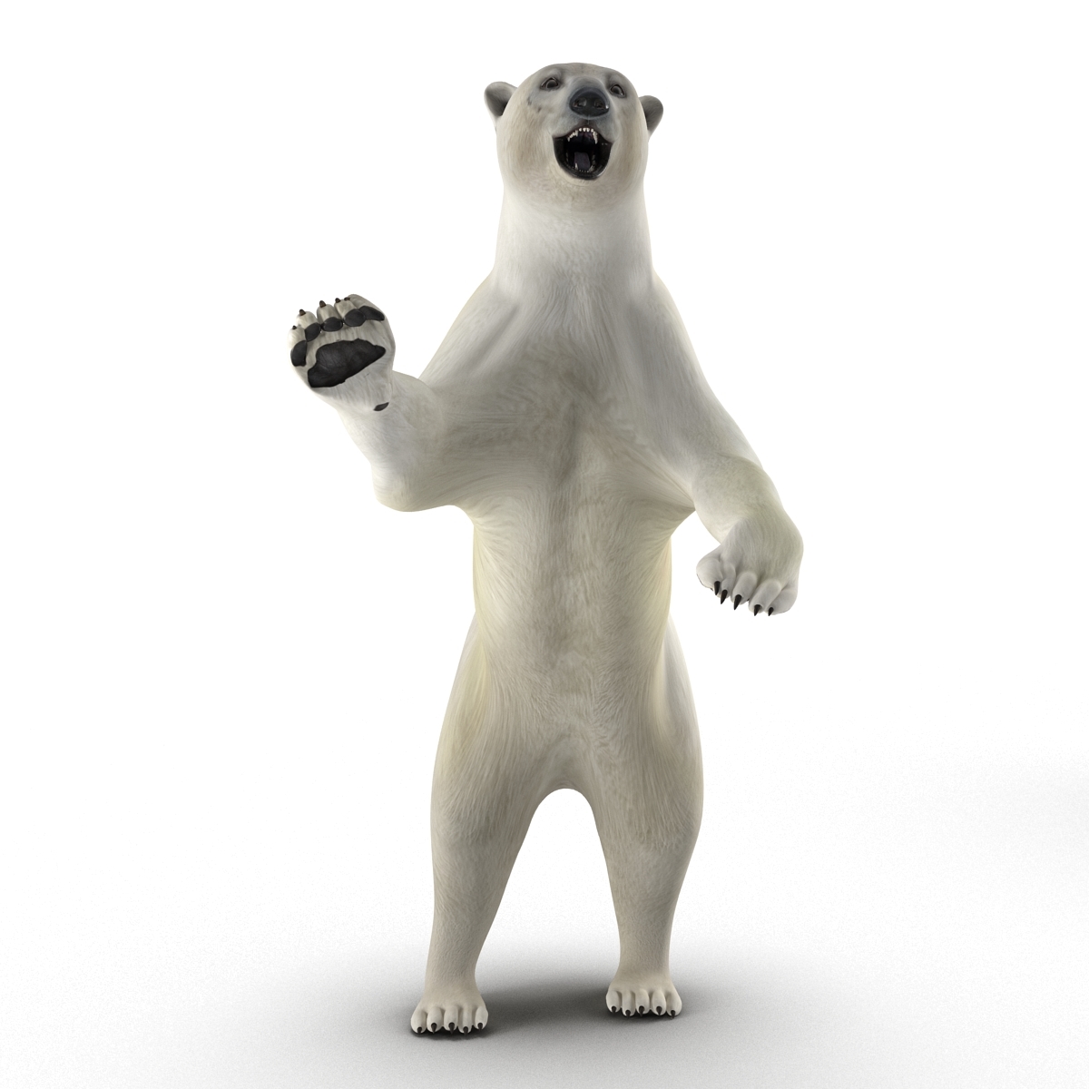 北极熊姿势33d模型