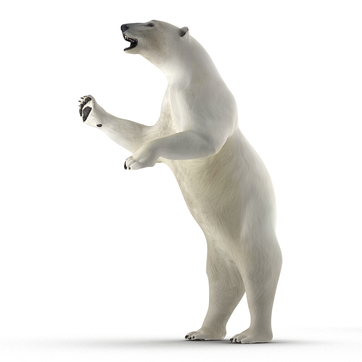 polar bear pose 3 3d model