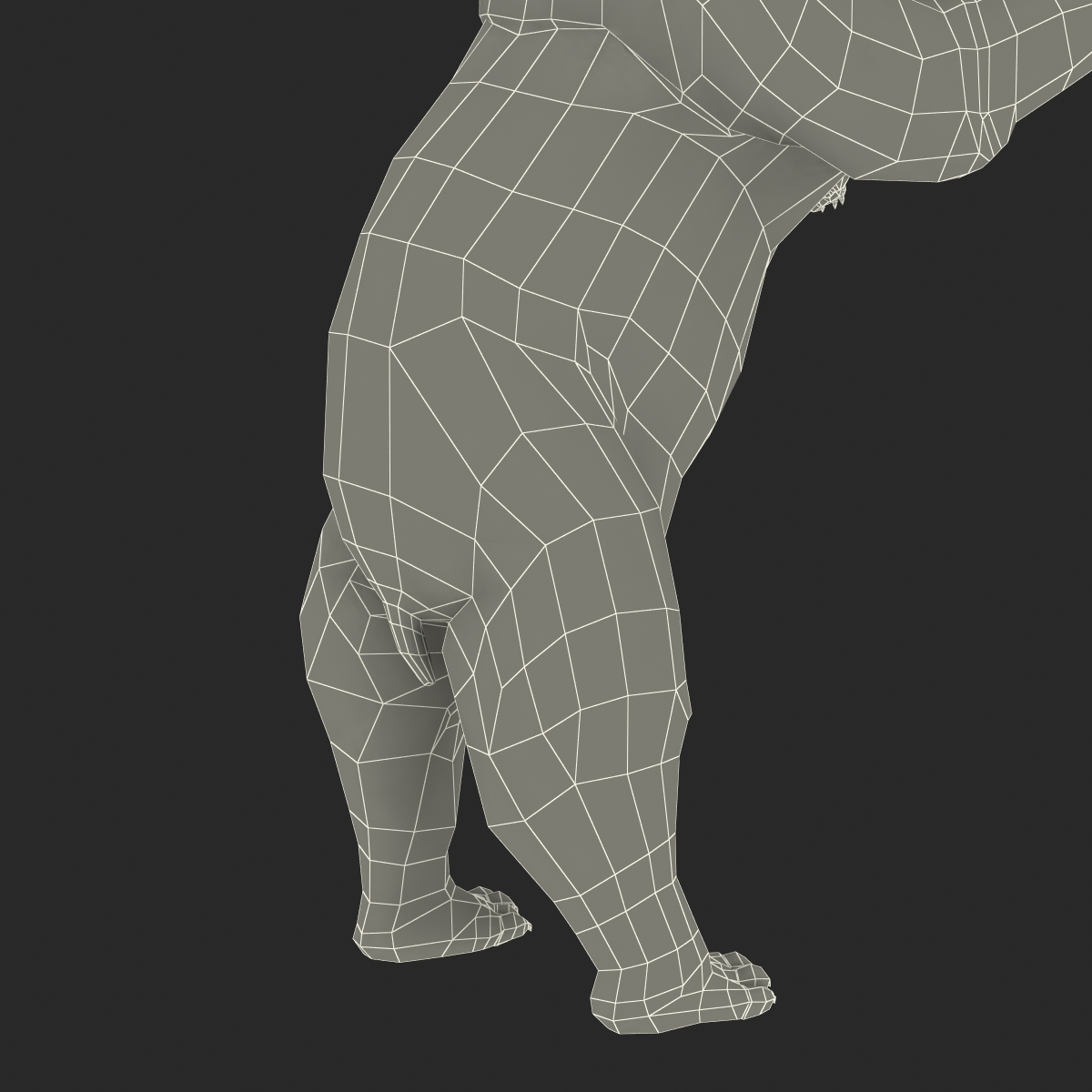 北极熊姿势33d模型