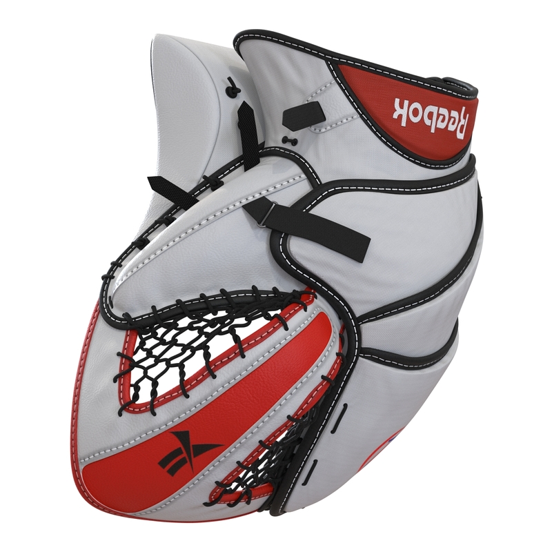 hockey goalie protection kit 3ds