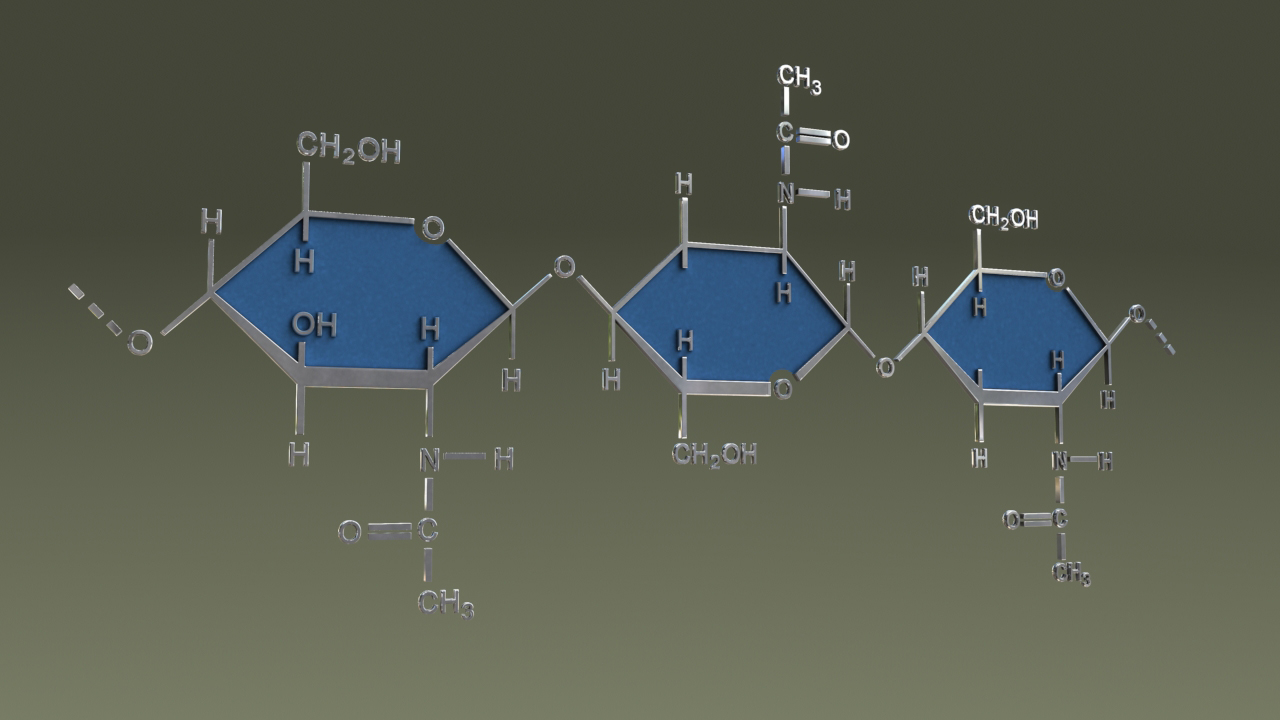 chitin 3d obj