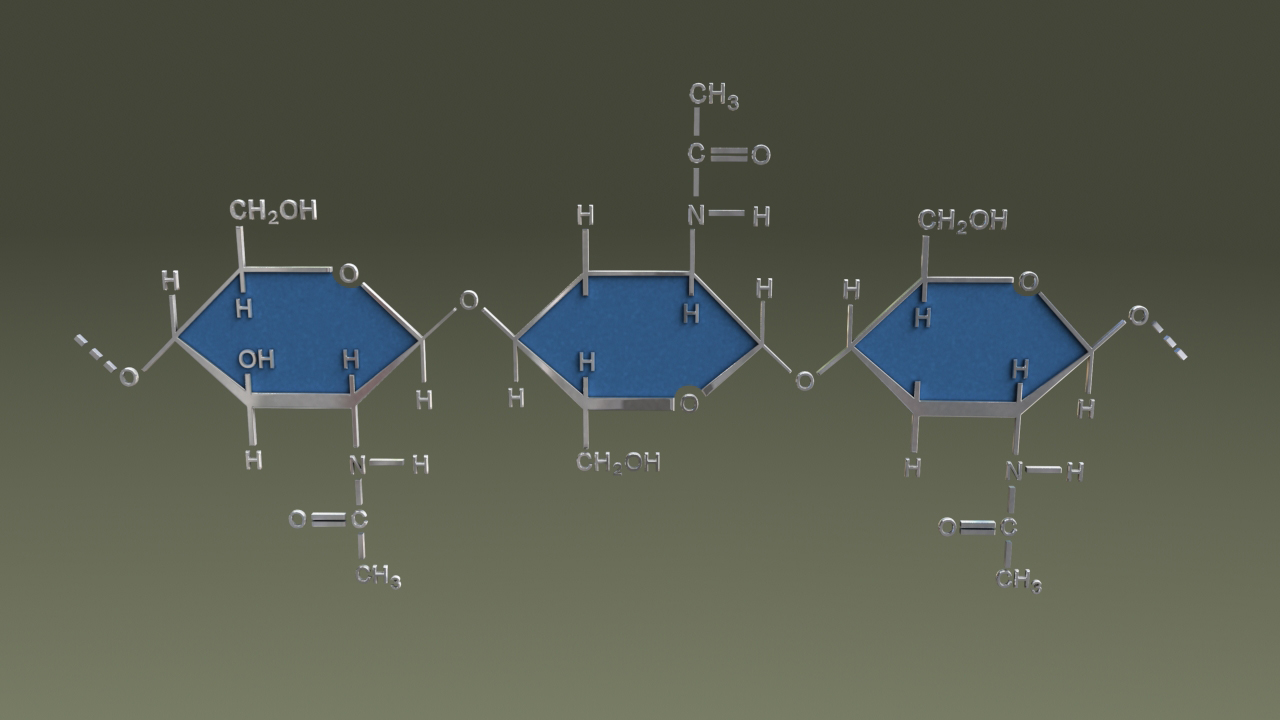 chitin 3d obj