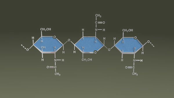 chitin 3d obj