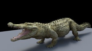 crocodile alligator 3d ma