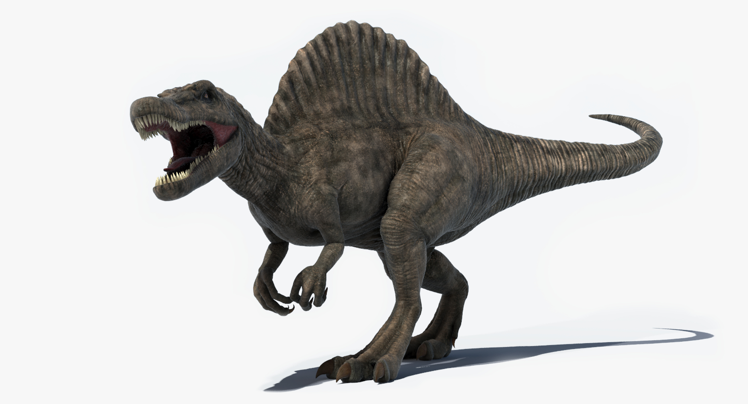 spinosaurus 3d google