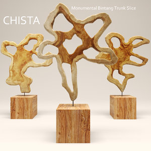 3d chista monumental trunk model