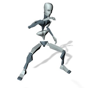 Kung fu master