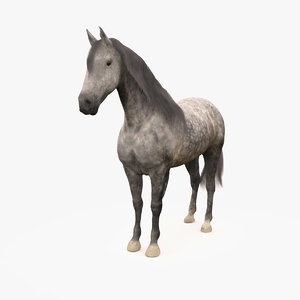 3d model horse andalusian grey