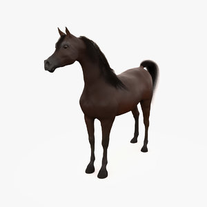 horse arabian bay max