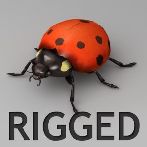 3d model rigged ladybug