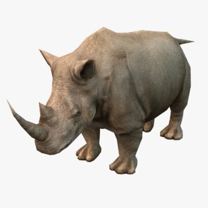 realistic rhino 3d model