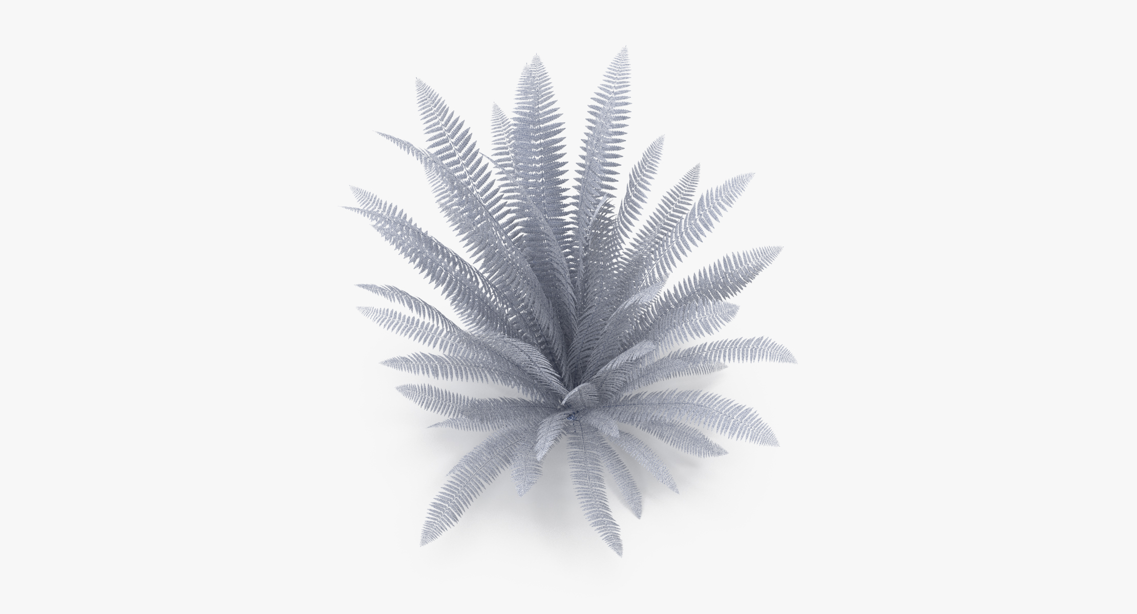 ferns 02 3d max