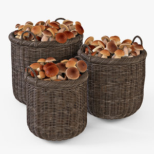 wicker basket mushrooms brown 3d max