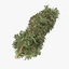 3d marijuana bud 01