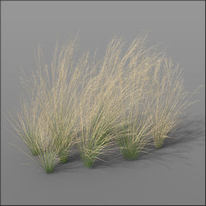 c4d grass dune grass1