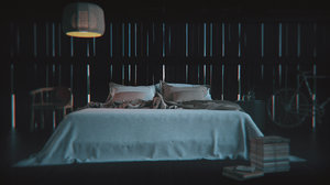 3d bedroom lust interior rustic model