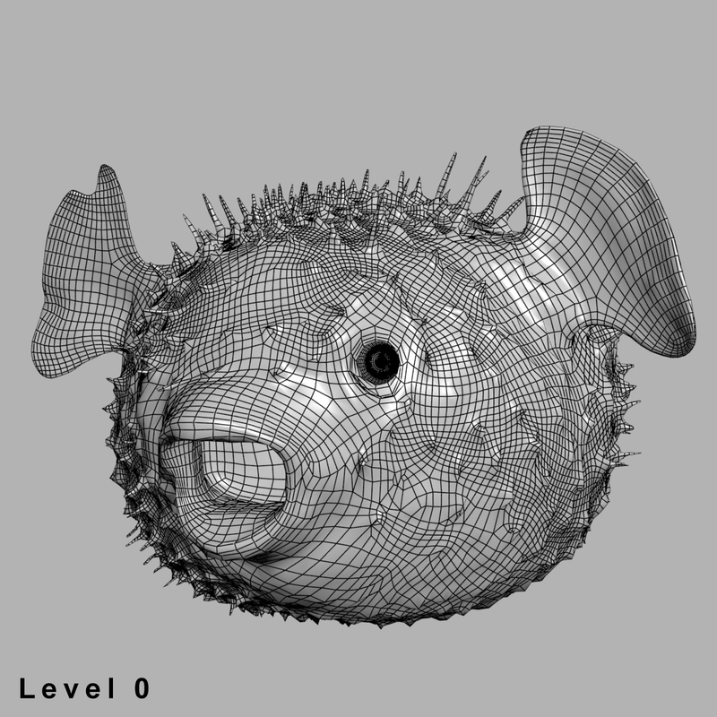 3d fugu fish model