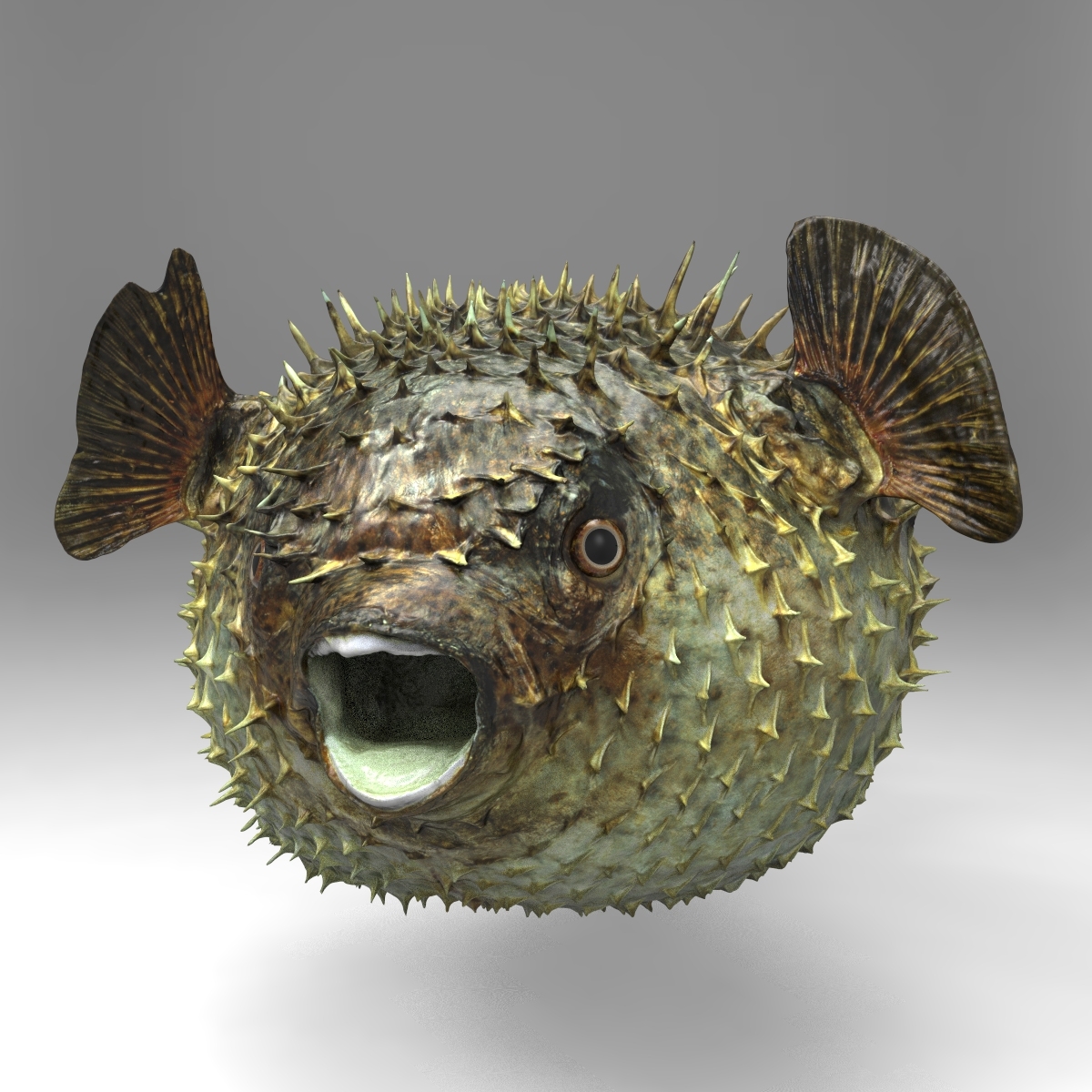 3d fugu fish model