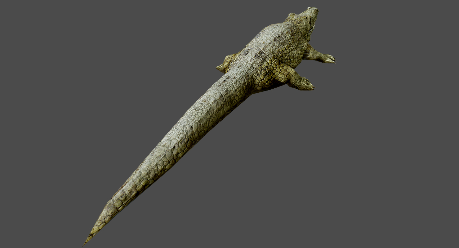 低聚鳄鱼3d模型