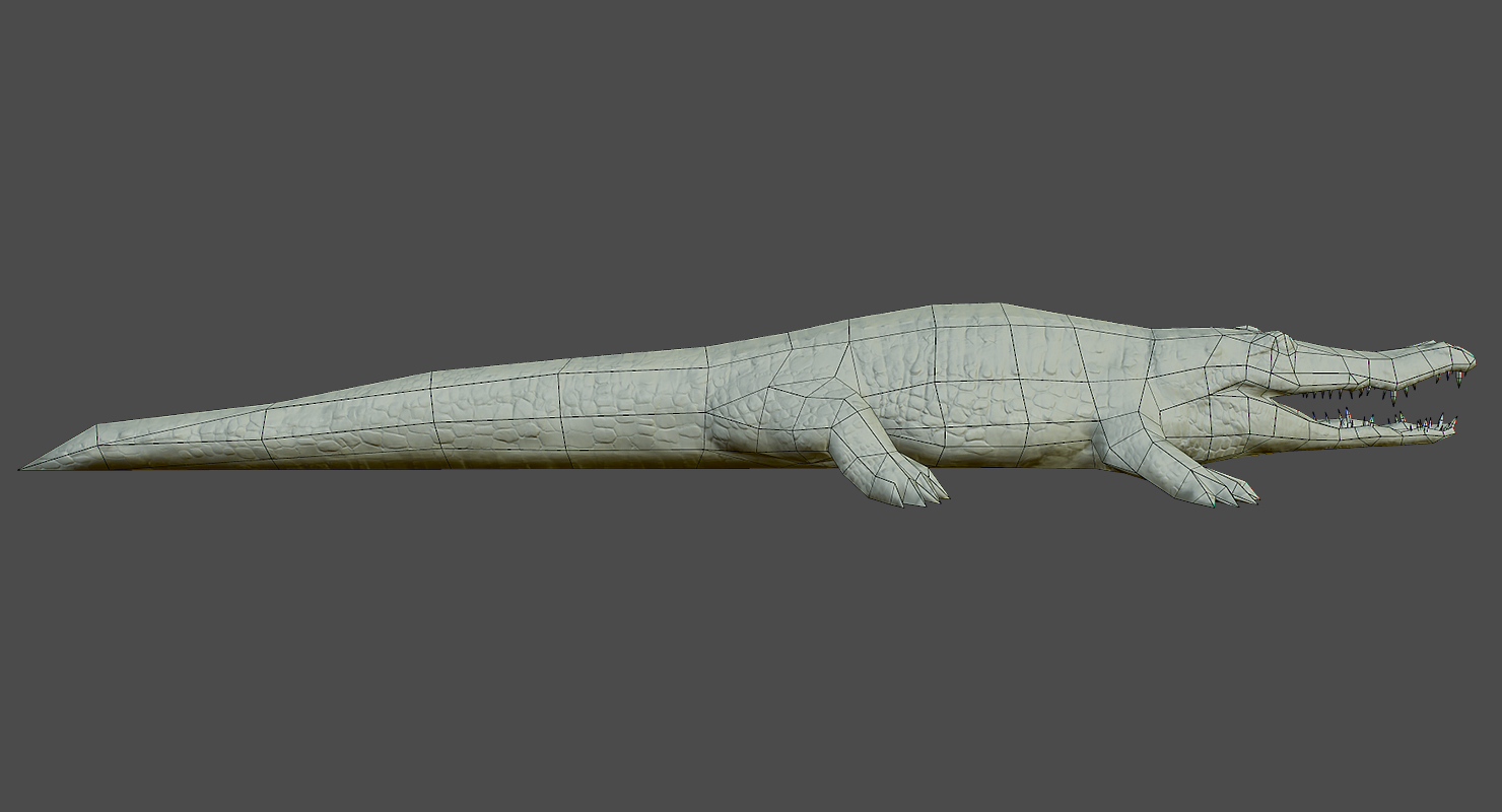 低聚鳄鱼3d模型