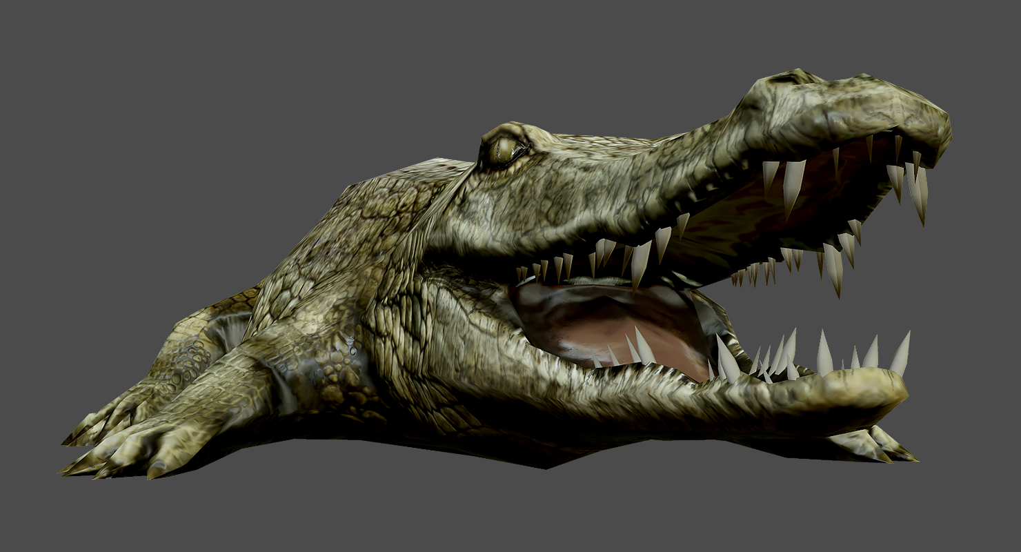 低聚鳄鱼3d模型