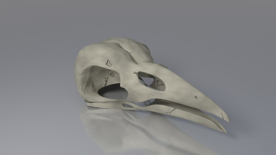 skull head crow 3d obj