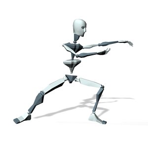 Tai chi master