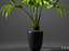 palm plants 3d model