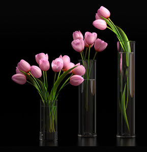 tulips vases 3d max