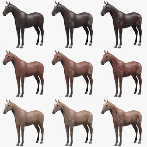 3d model of files horse 12 zbrush
