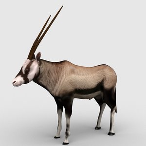 antelope gemsbok max