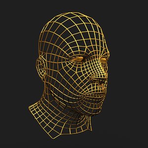 ma wireframe face wire